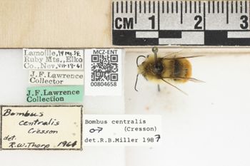 Media type: image;   Entomology 804658 Aspect: labels